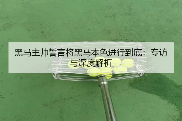 黑马主帅誓言将黑马本色进行到底：专访与深度解析